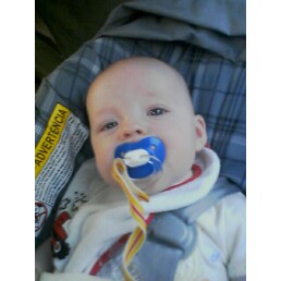 [image-upload-739403.jpe]