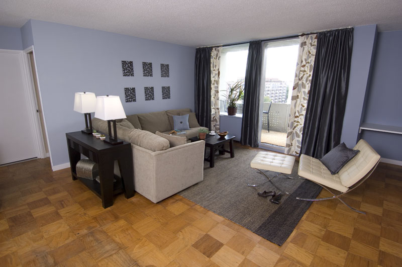 Modern Living Room with an Asian Twist | MyDesignGuide's Fun(ny ...