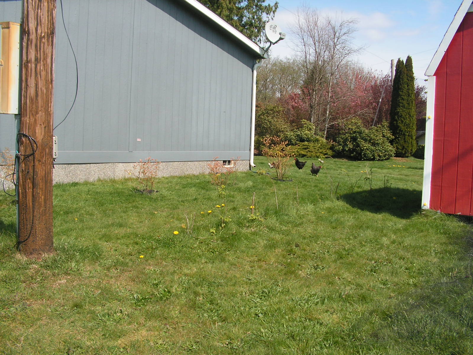 http://4.bp.blogspot.com/_xIZj1R6I8m0/TAz-rvqbkkI/AAAAAAAAA9M/6ygwYAJNscM/s1600/empty%2Bgarden%2B004.jpg