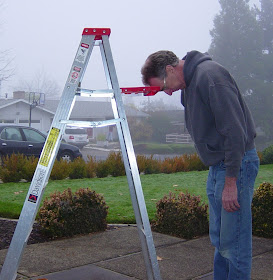ladder lights without ground hanging both hybiscus safer always keep feet much near