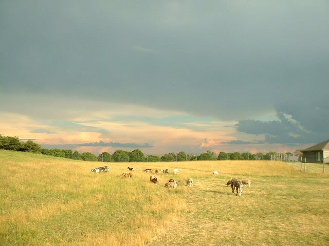 Storm to the south