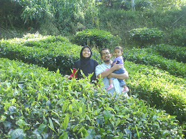 CAMERON HIGHLAND 2010