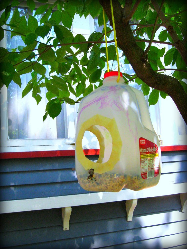Here to There how to milk jug bird feeder