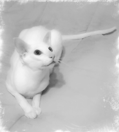[luxexample2.png]