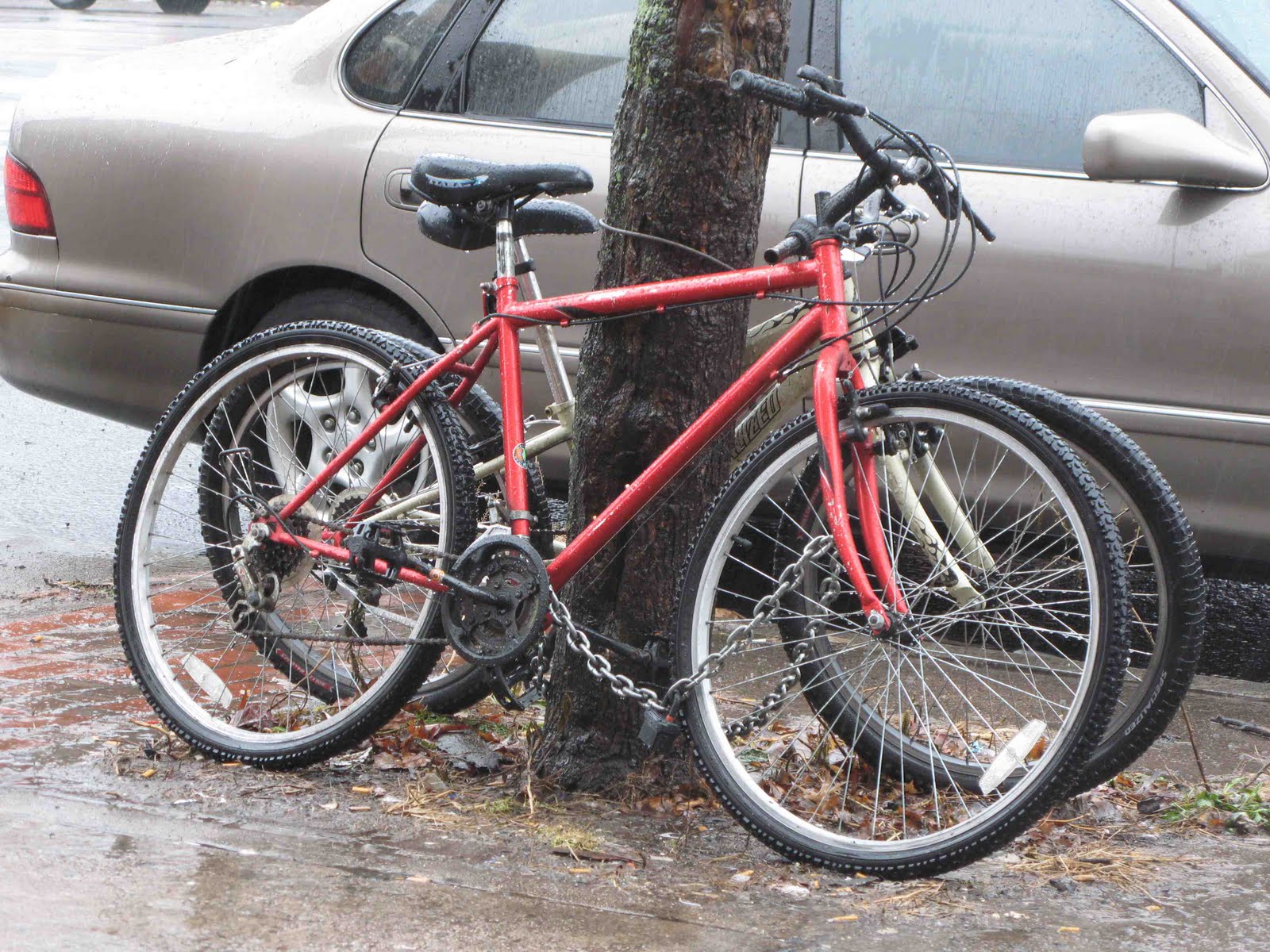 [Bikes+near+Keney+Tower+closeup+1.jpg]