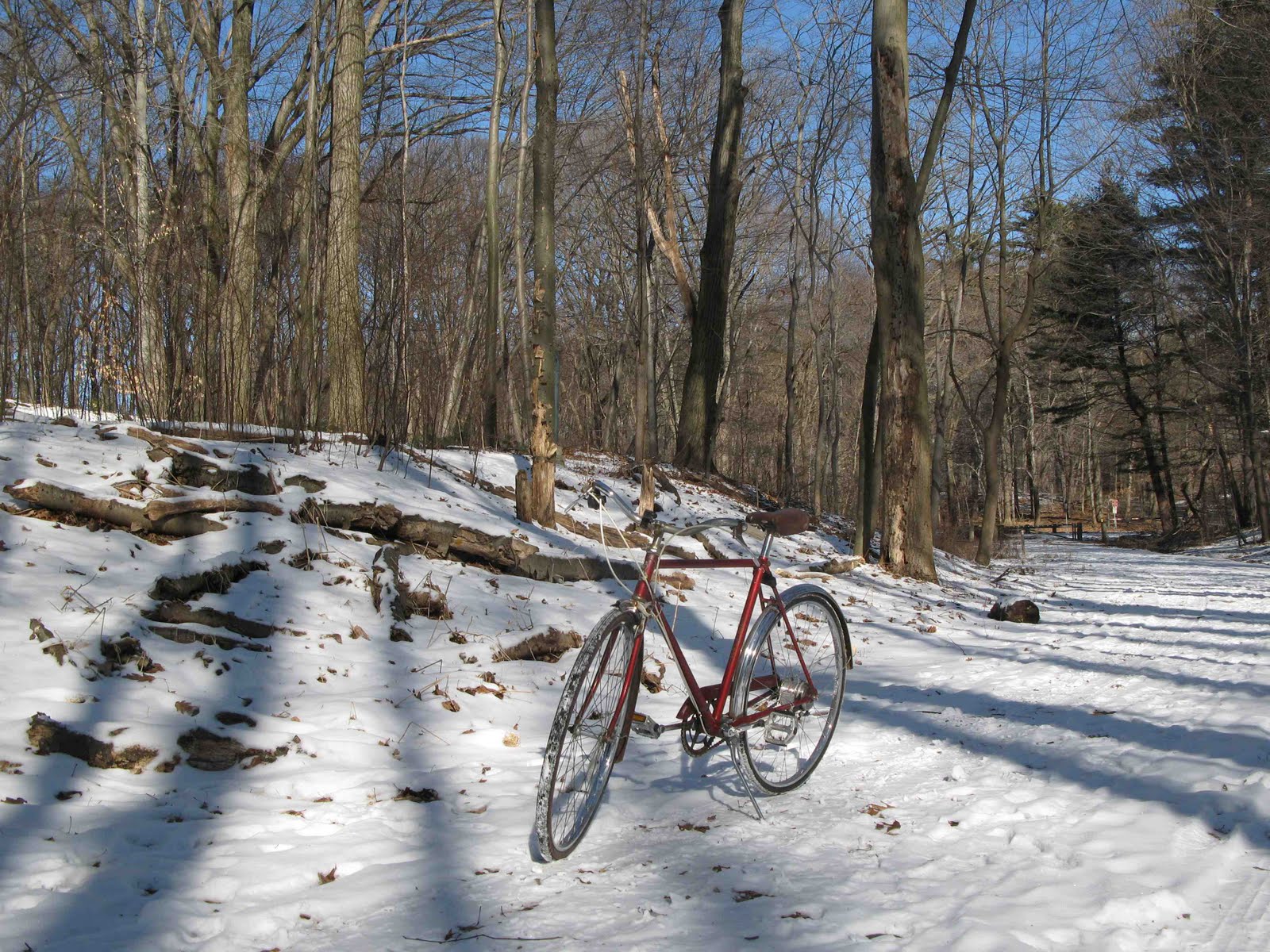 [Robin+Hood+in+Keney.jpg]