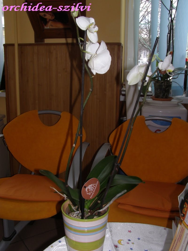 [P2040363.JPG]