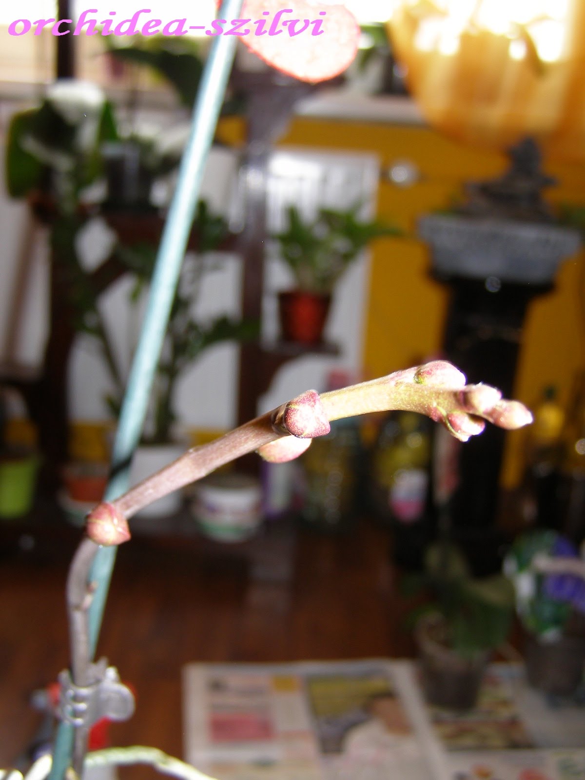 [P3140191.JPG]