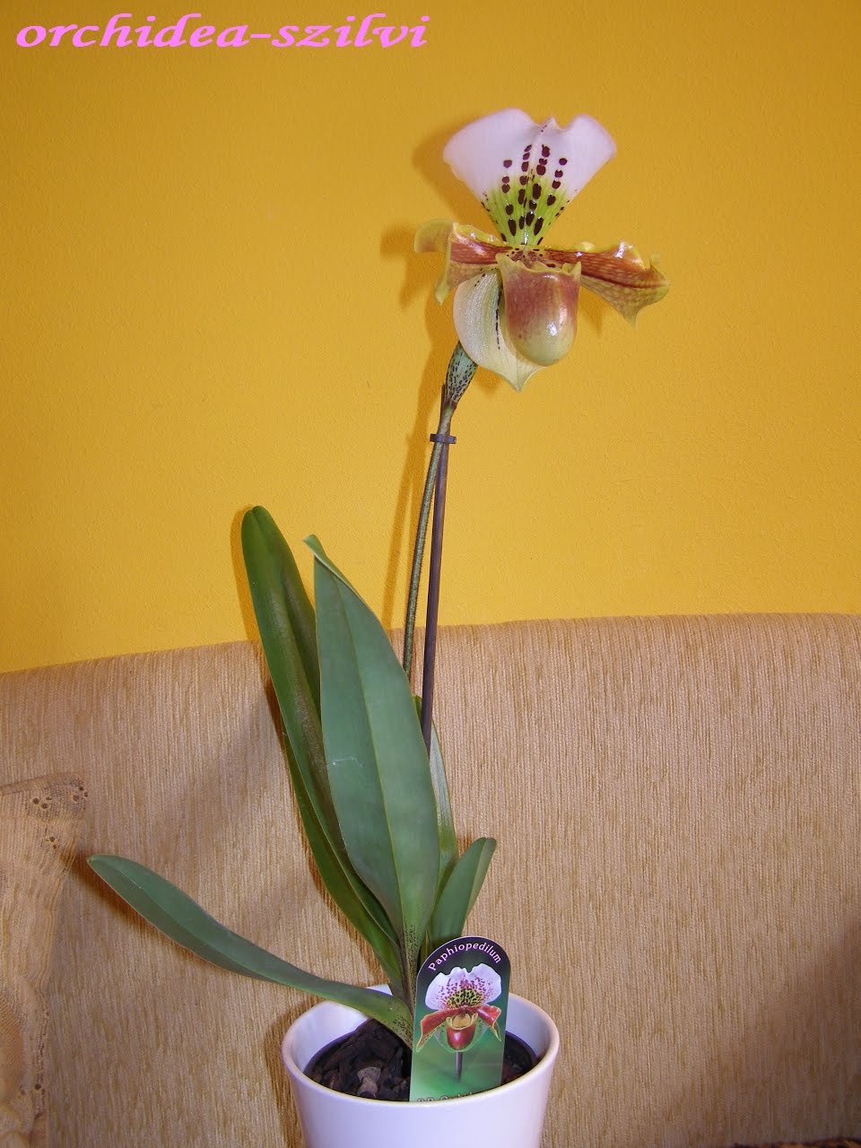 [P3070087.JPG]