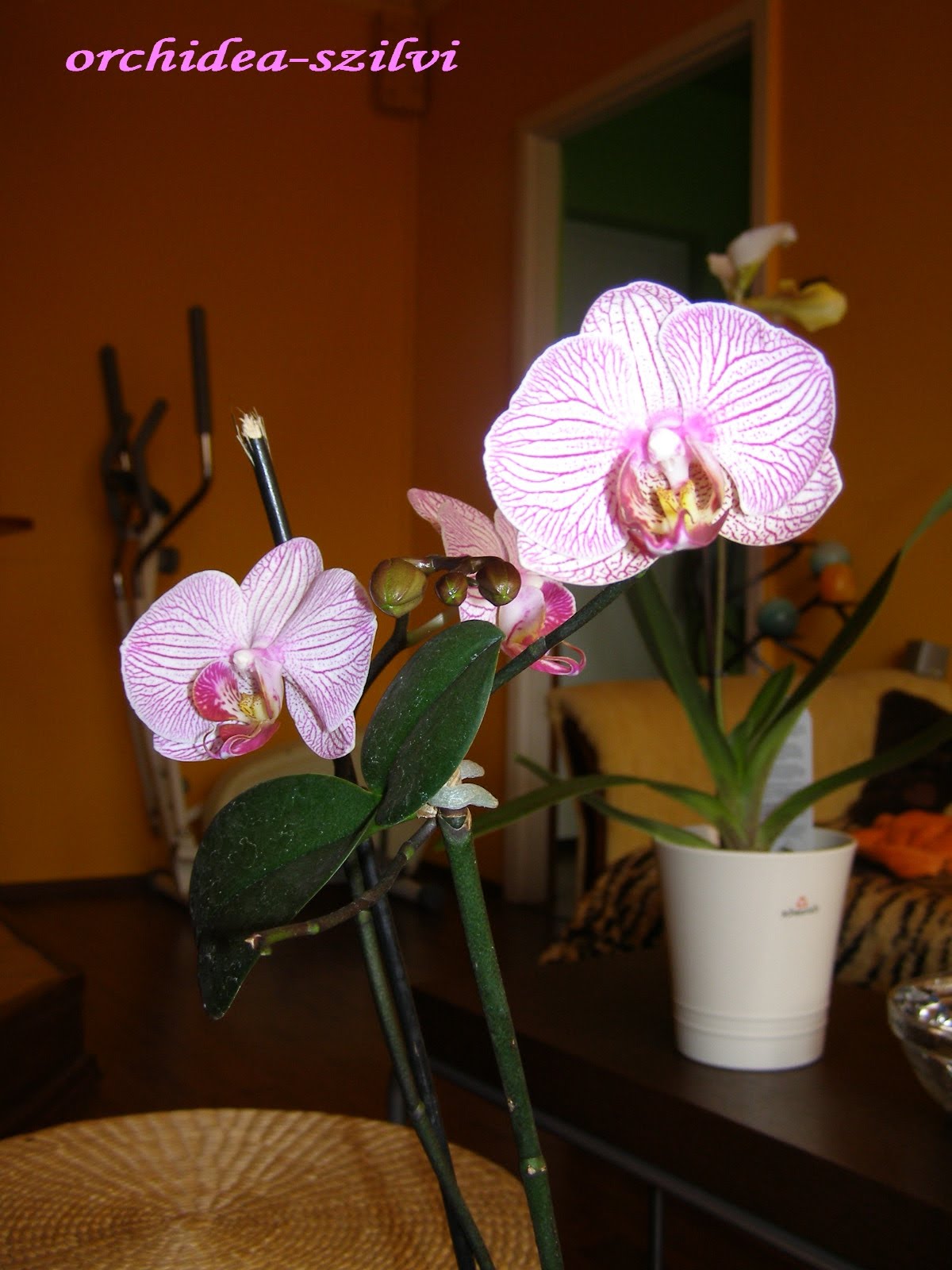 [P3140136.JPG]