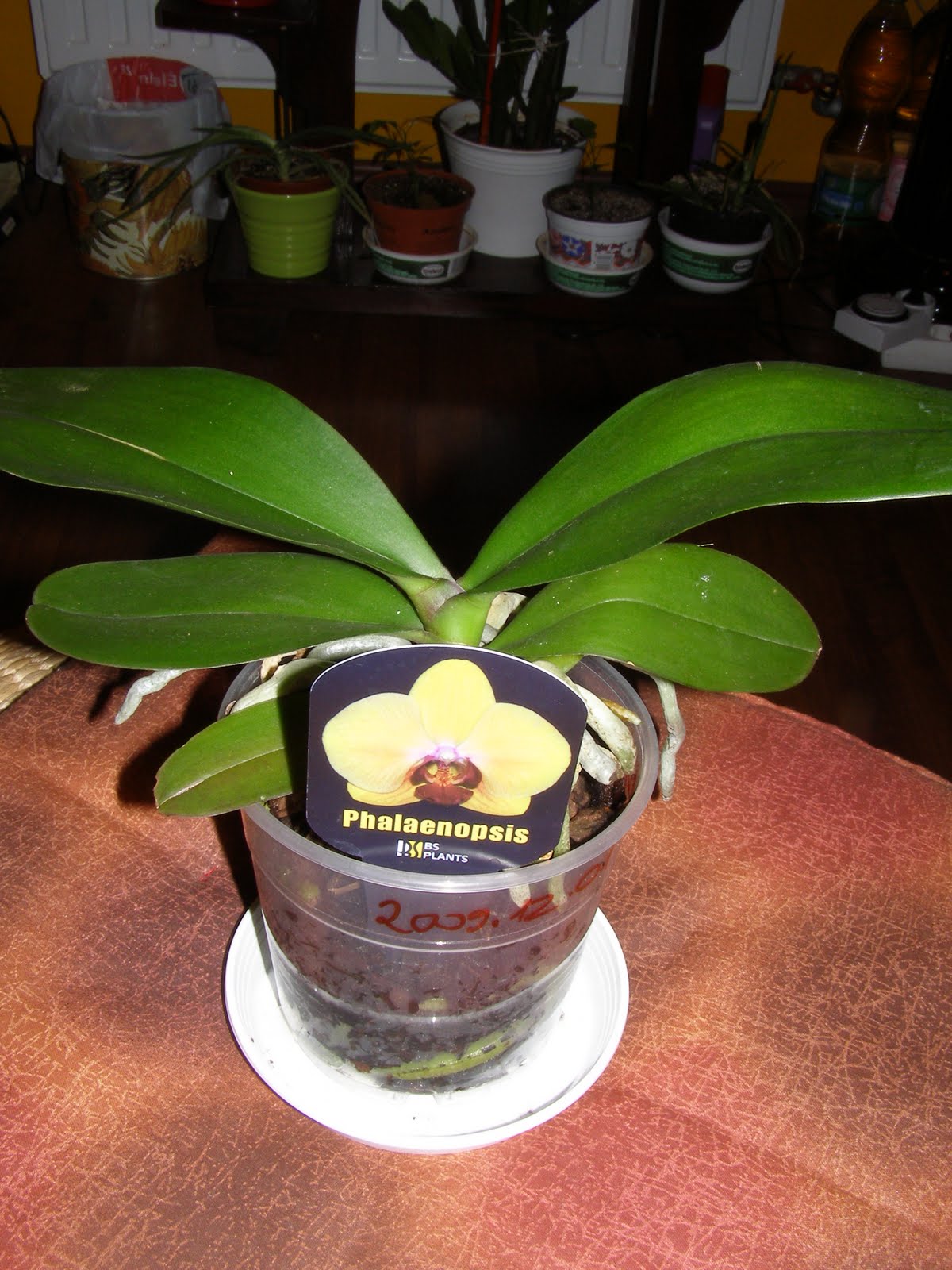 [PC010498.JPG]