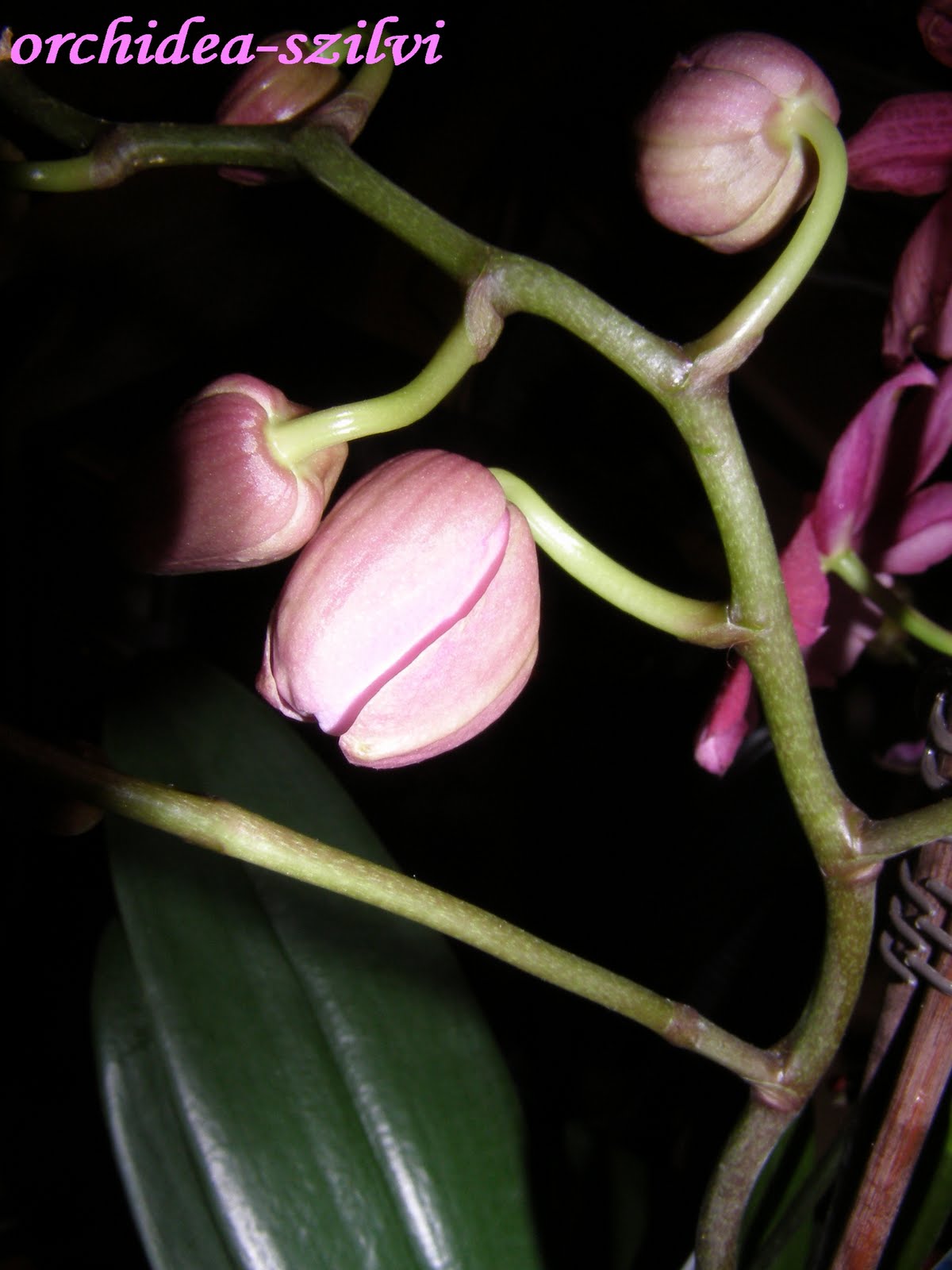 [PC290622.JPG]