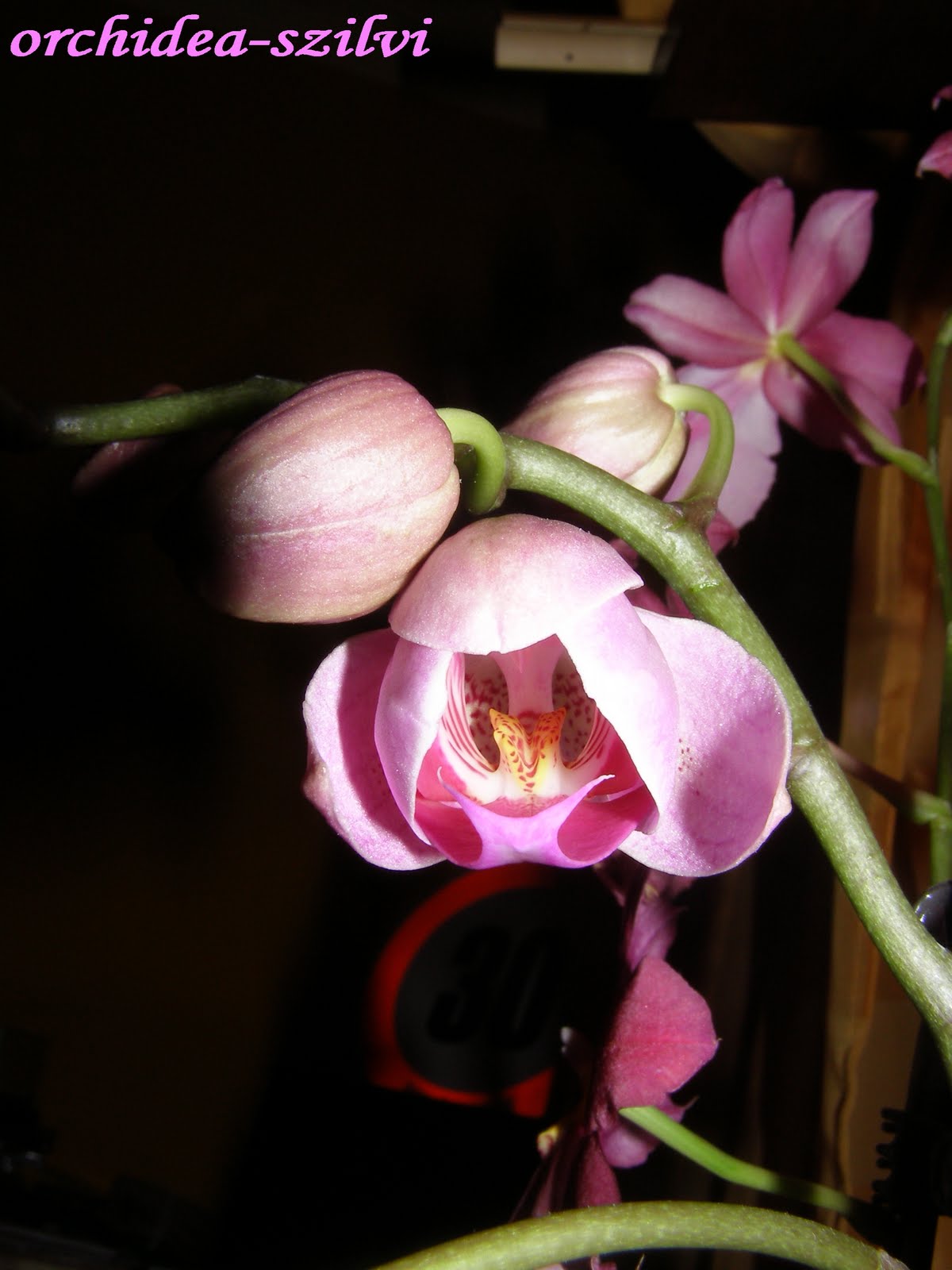 [PC300624.JPG]