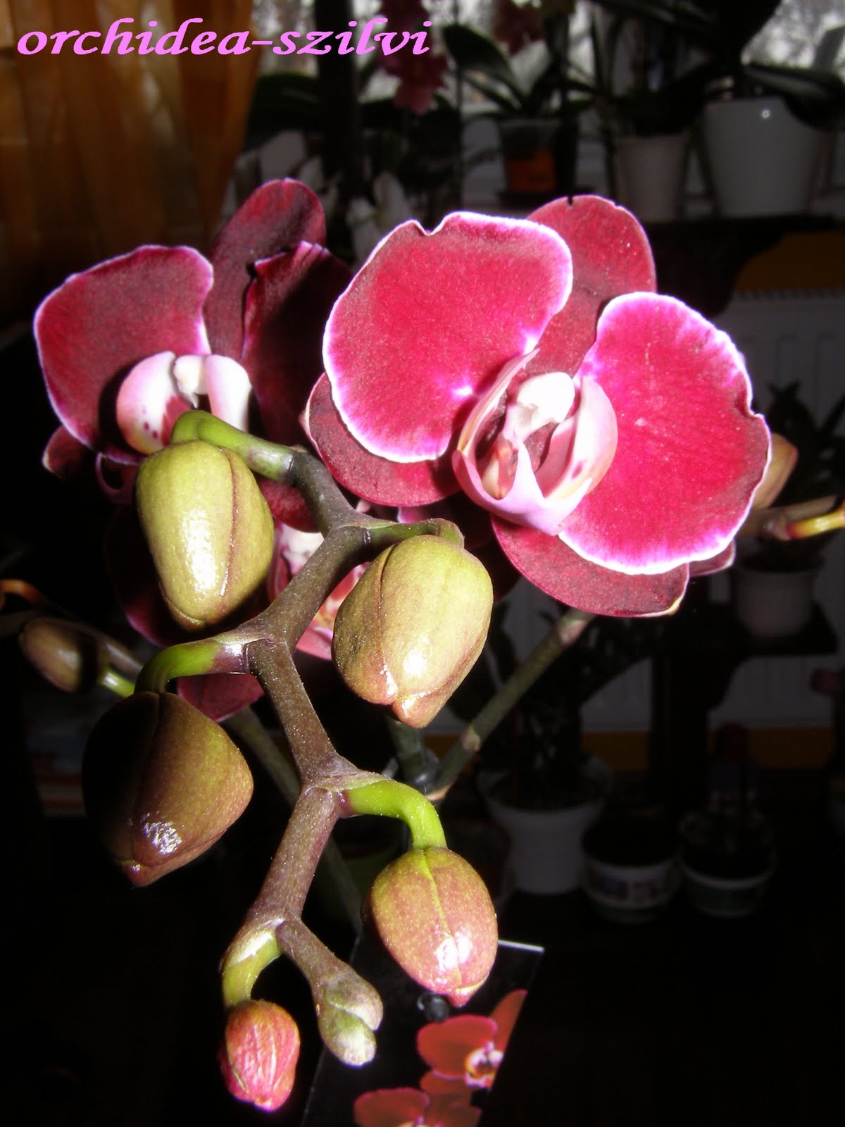 [PC270601.JPG]