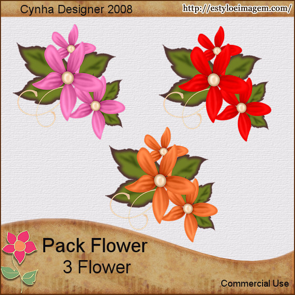 [Cynha-Pack-Flower-Prev.jpg]