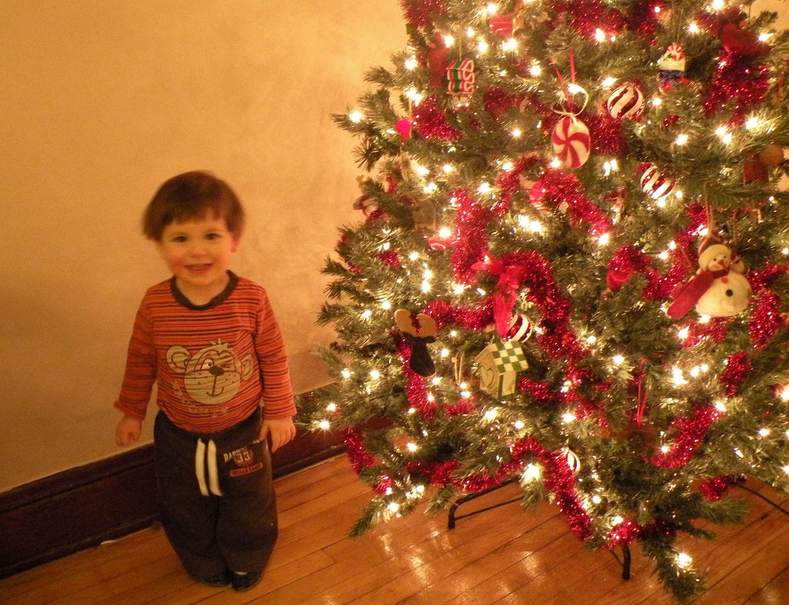 [boy+meets+tree+2.jpg]