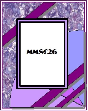 [MMSC26+(2).jpg]