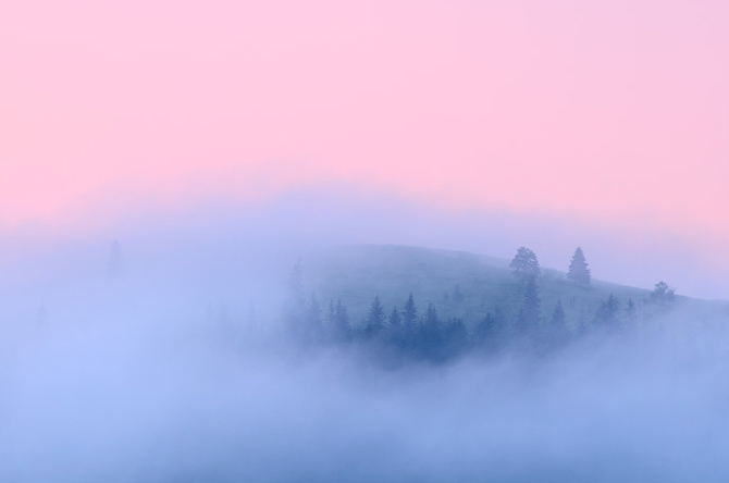 http://4.bp.blogspot.com/_xMg1jxBAoZQ/TT-xitwHCpI/AAAAAAAAEmM/1qP60g8fhOU/s1600/fog_photography_%252811%2529.jpg