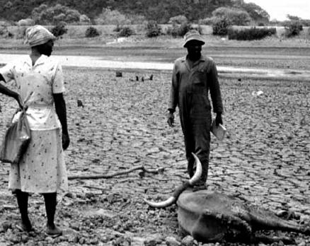 Seca no Nordeste Seca no Nordeste