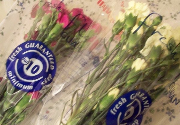 [Lighted+Christmas+Parade+'09+403.jpg]