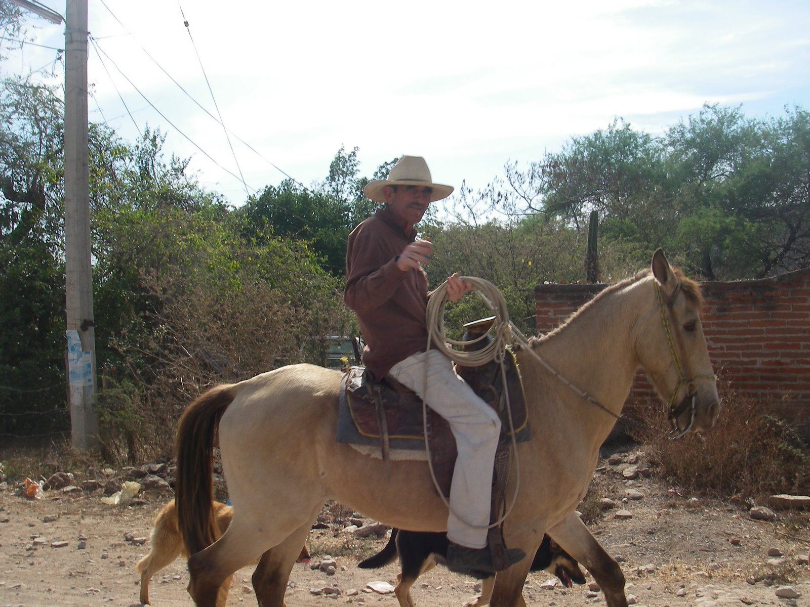 [Guadalajara+025.JPG]