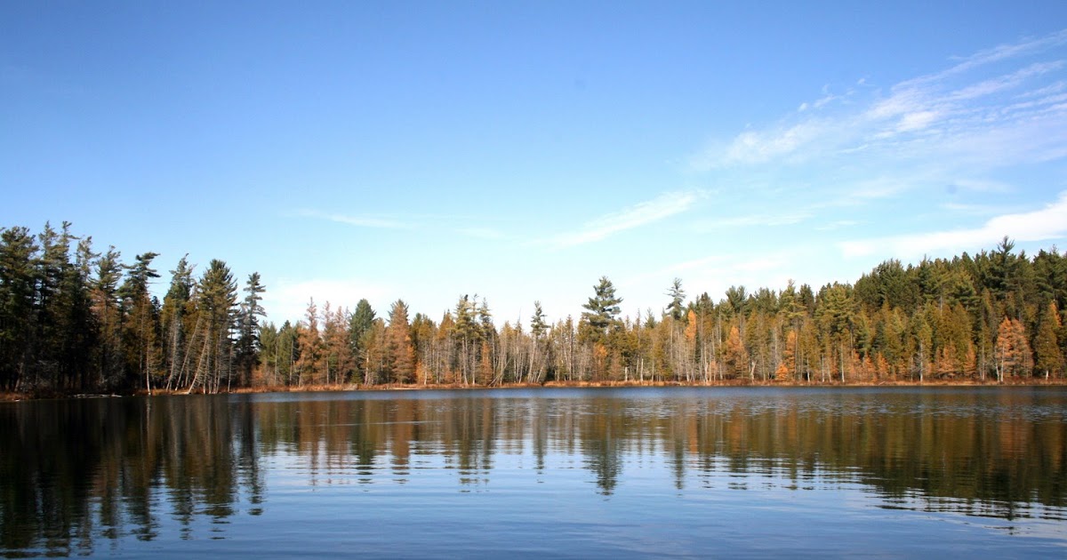 Northern Michigan Experience Hartwick Pines State Park Grayling, MI
