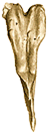 [Imagen1.png]