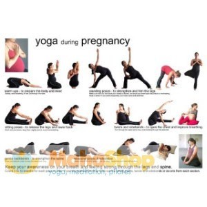 Exercise During Pregnancy Chart