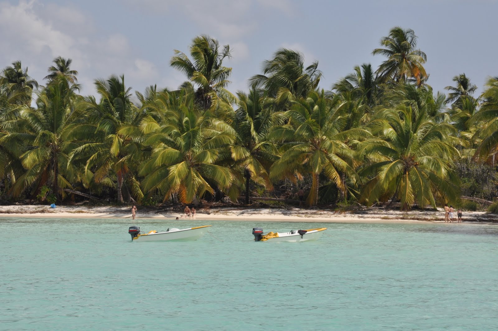 Ilha Saona