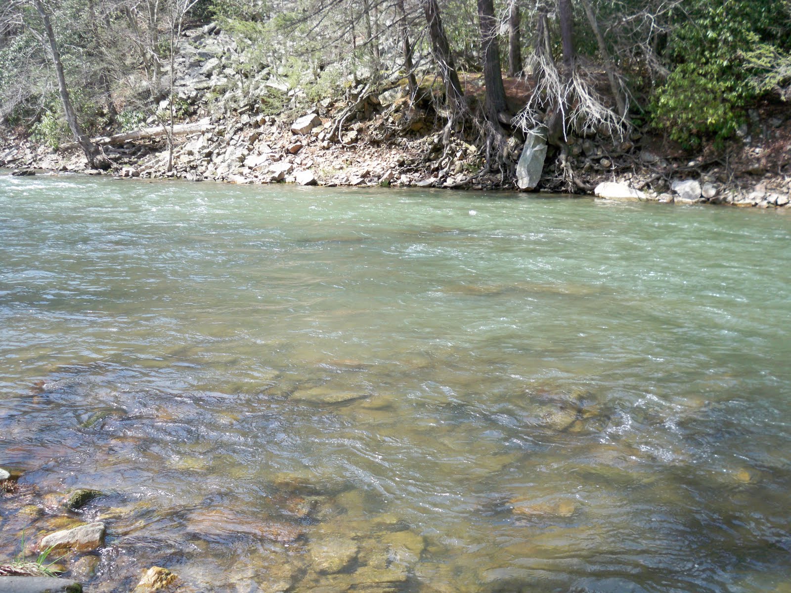 Grobe Anglers And Adventures Penns Creek Fishing Report 4062010