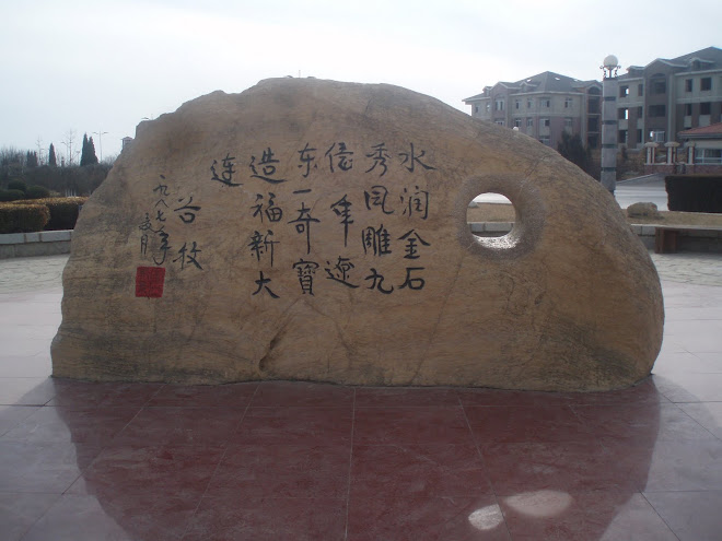 果壳中的宇宙
