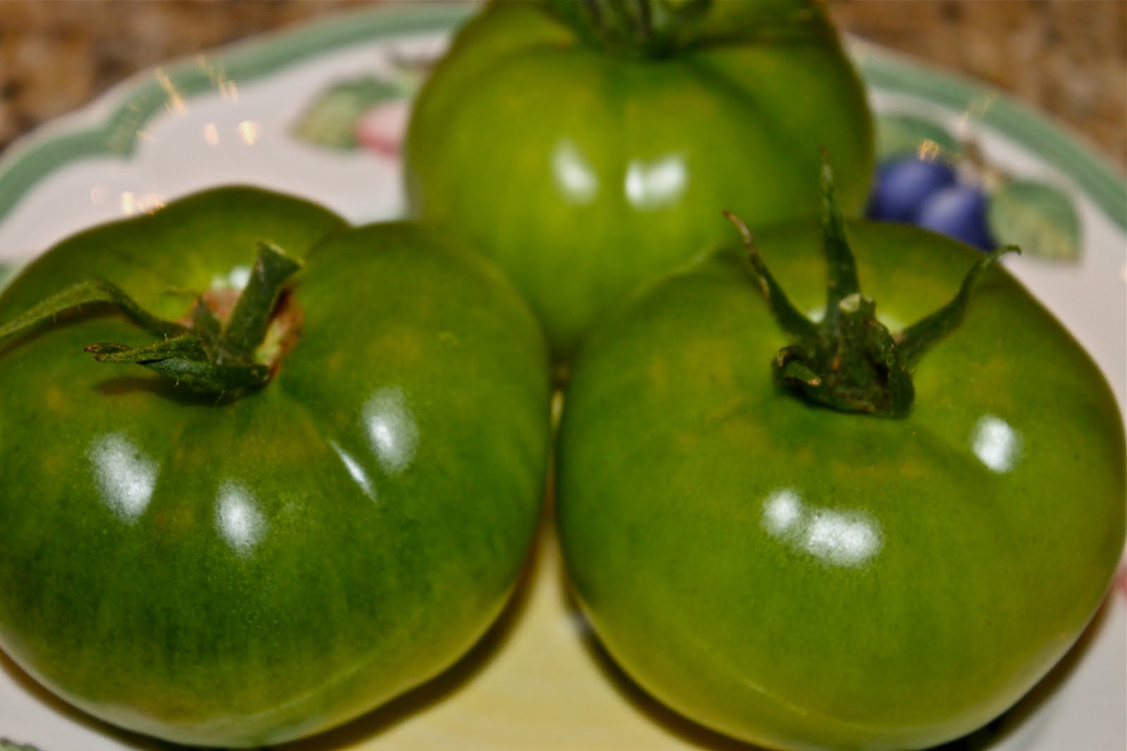 Fried Green Tomatoes with Marinara Sauce and Mozzarella La Bella Vita