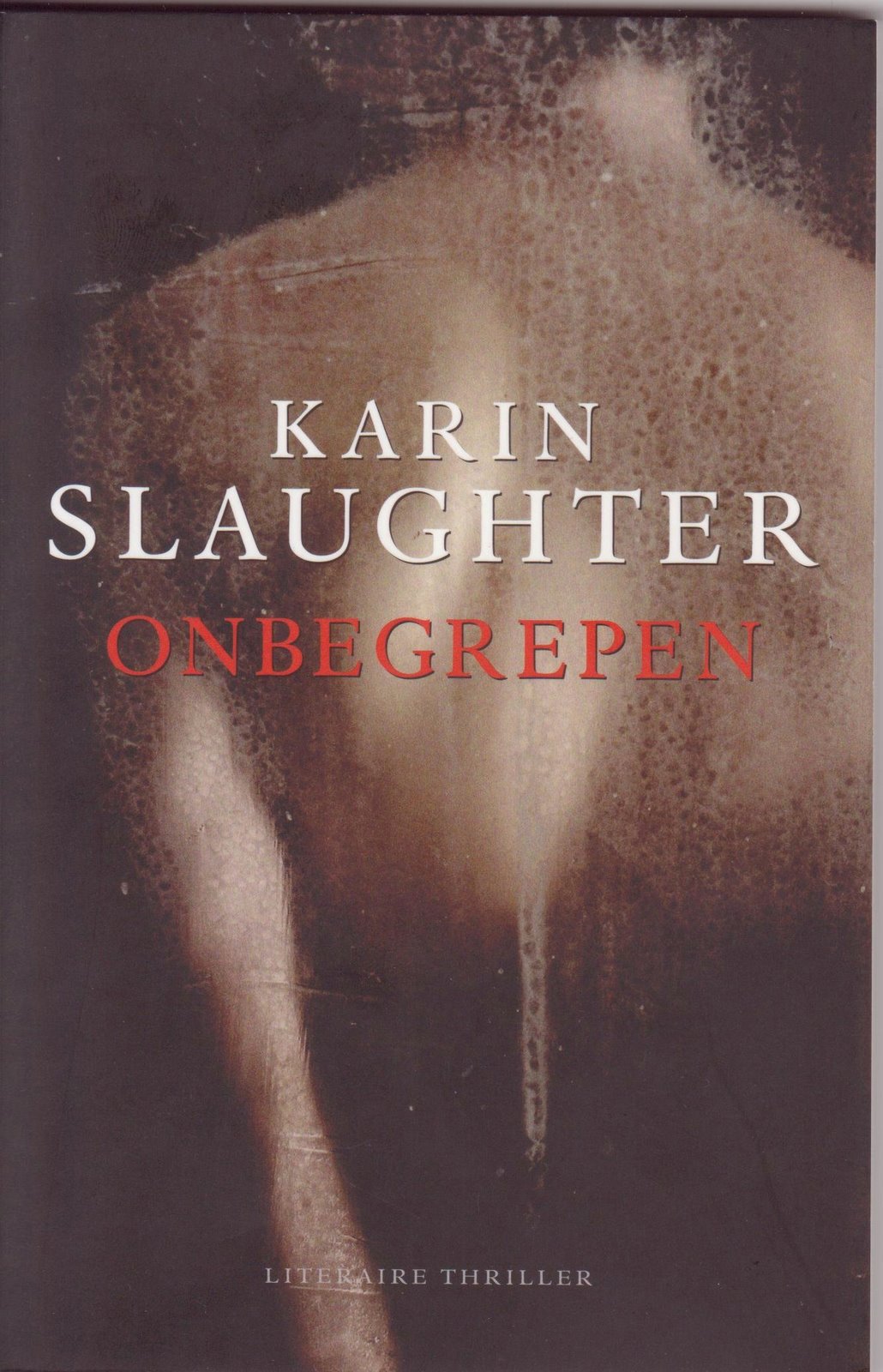 [Omslag+Onbegrepen.jpg]