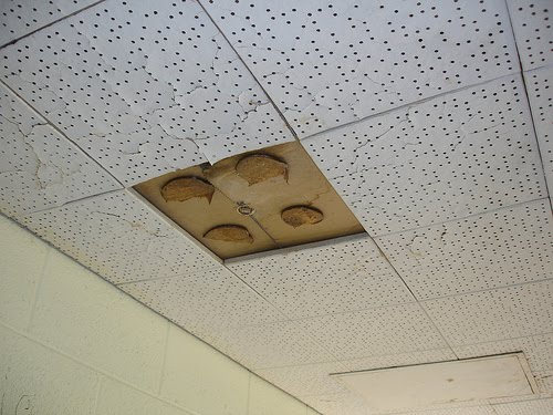 Does Your House Include Cancer-Creating Asbestos Ceiling Tile?