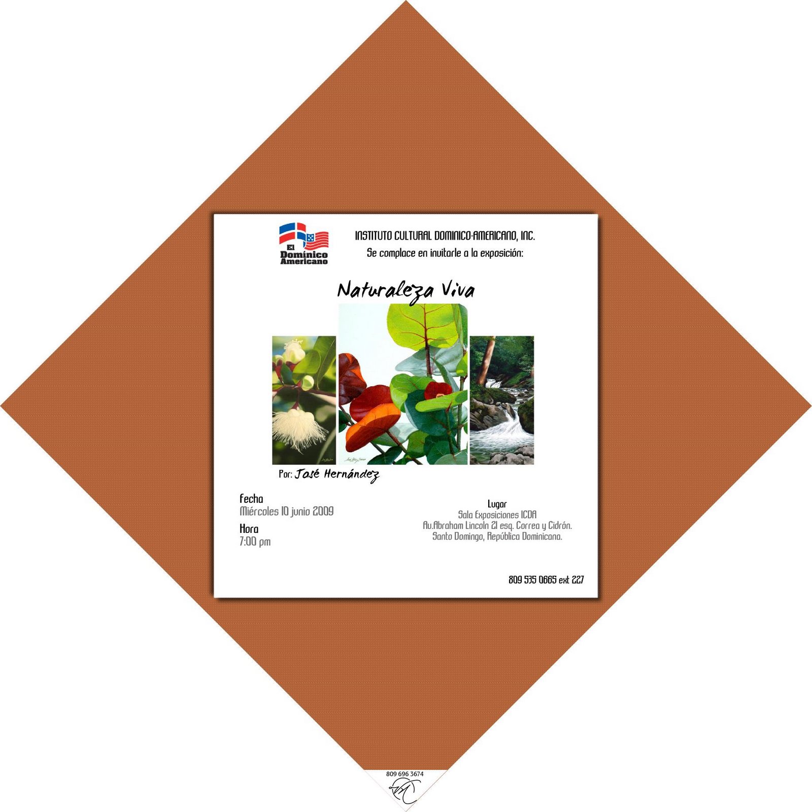 [Naturaleza+Viva.jpg]