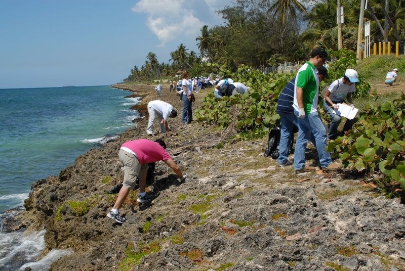 [GRUPO+LIMPIESA.JPG]