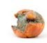 [orange3.JPG]