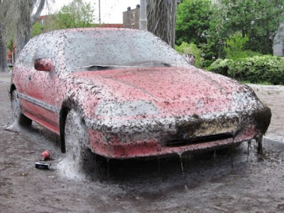 Worm Harvesting Using a Car