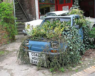 Fiat Garden Art Car Fiat Garden Art Car