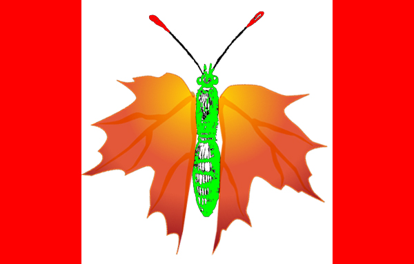 [Maple+Leaf+Butterflag+2.jpg]