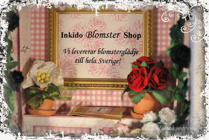 [DSC_9256.JPG]