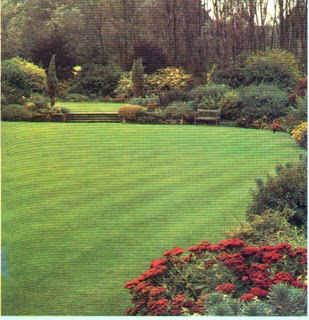 Nunca Es Tarde Para Aprender: SIEMPRE JOVENES PARA APRENDER