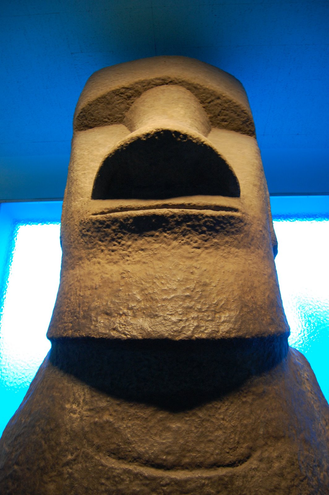 [DSC_0323.JPG]