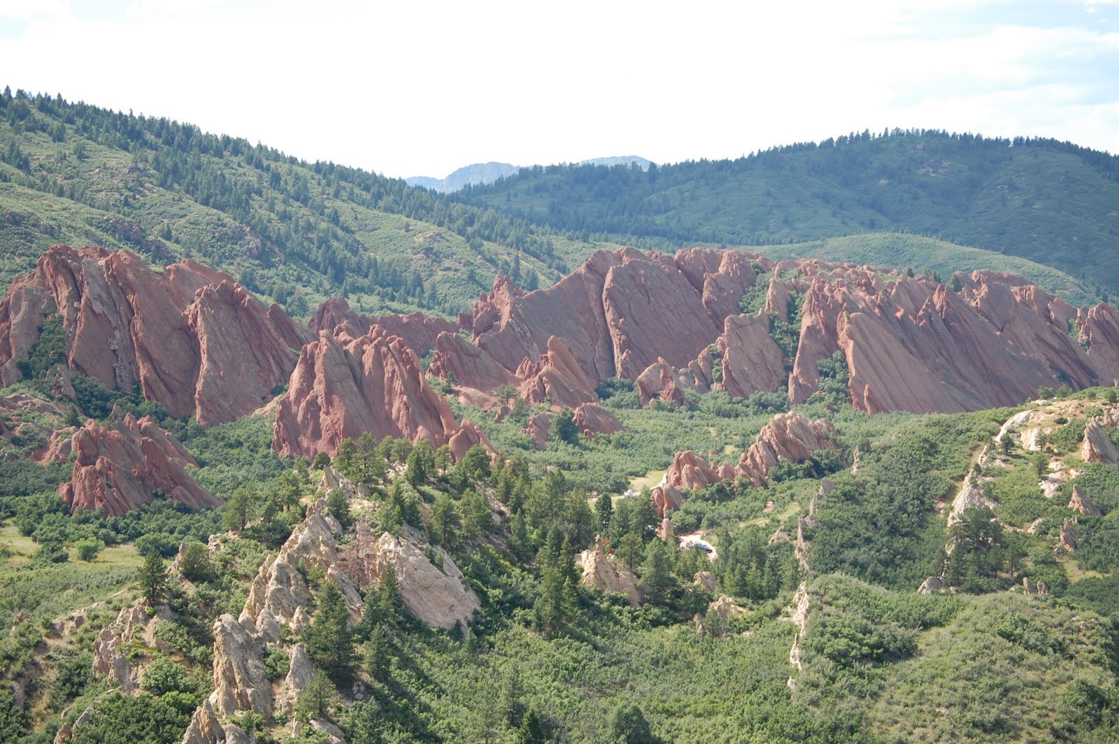 [DSC_0075.JPG]
