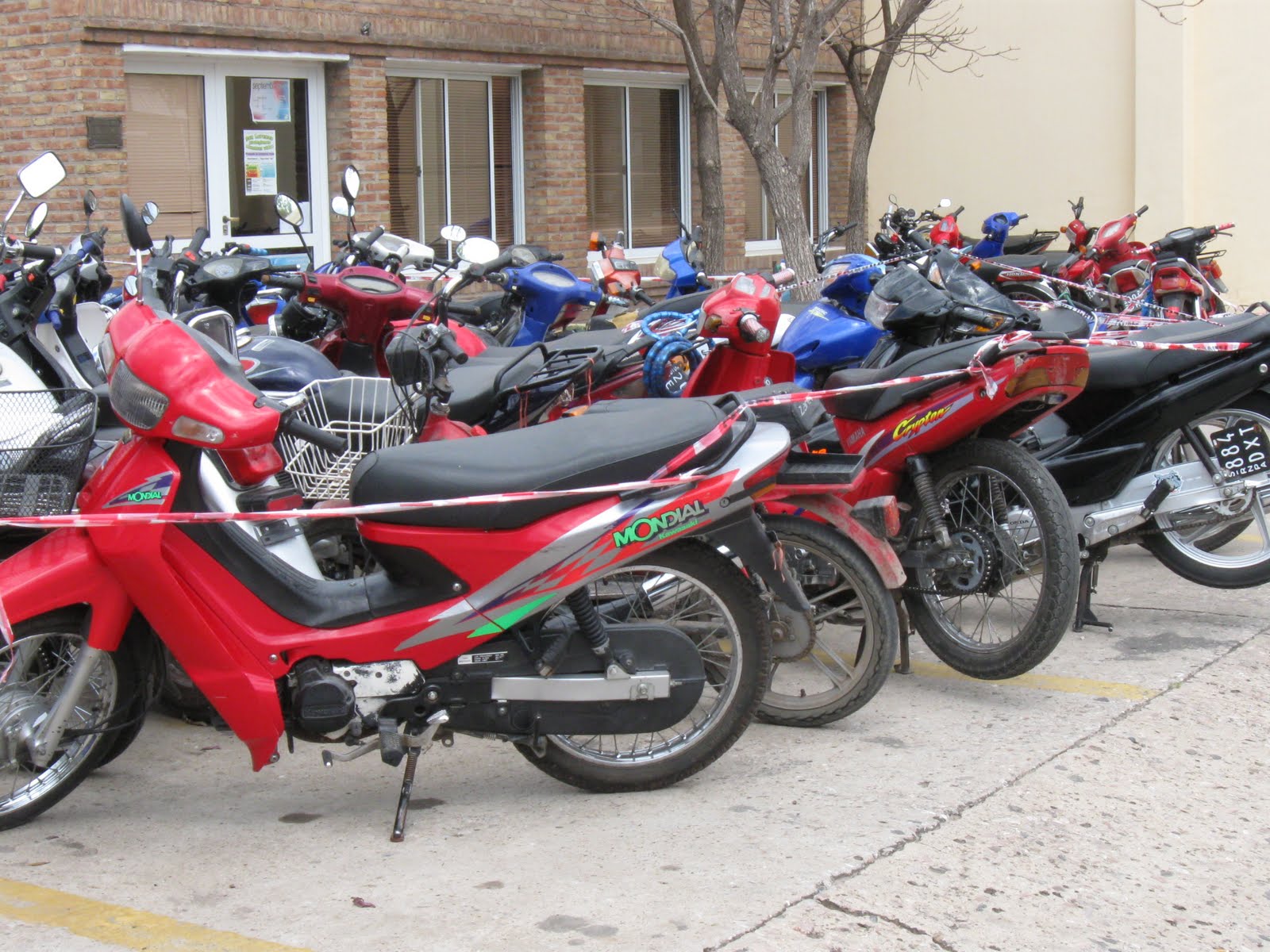[IMG_1774.JPG]