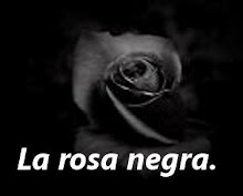 La rosa negra
