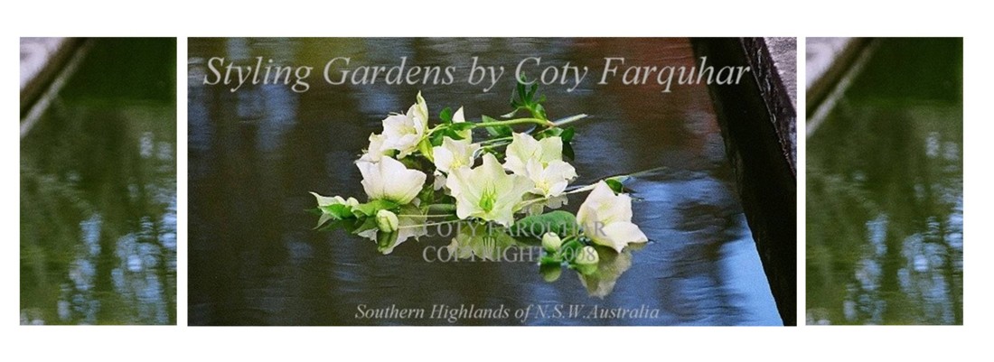 Styling Gardens by Coty Farquhar
