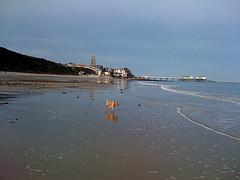 Look, At That Beach !