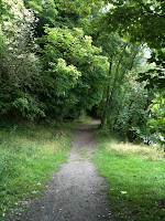 Woodland Path