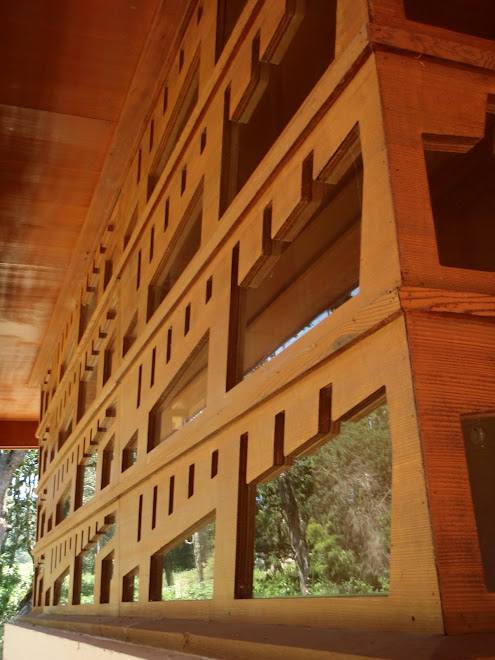 frank lloyd wright house